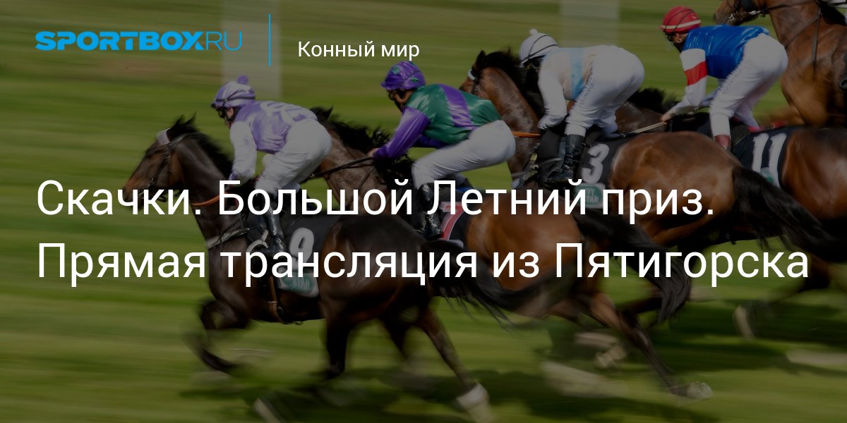 Скачки лошадей в пятигорске. Конный мир. Телепрограмма конный мир. Конный мир прямая трансляция. Телепрограмма конный мир.