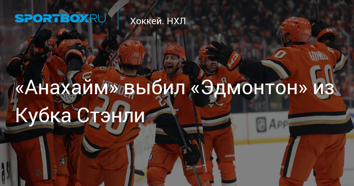 Эдмонтон: что нужно знать — image 1