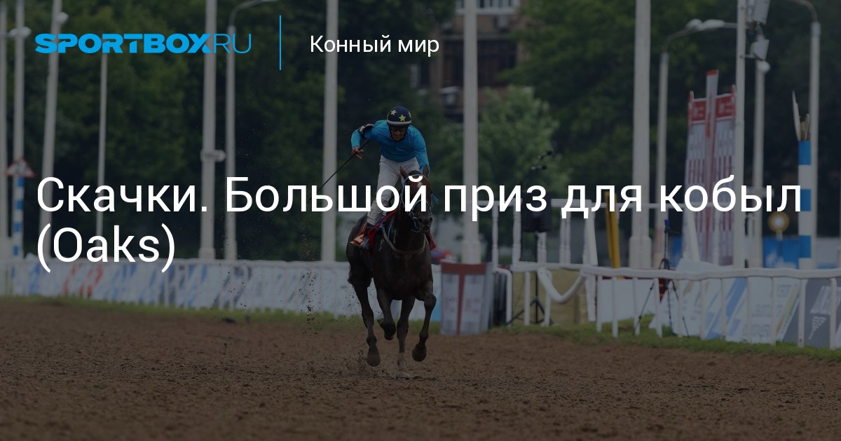 Конный мир магазин. Телевизионный канал конный мир. Телепрограмма конный мир. Конный мир тв логотип. Конный мир тв.