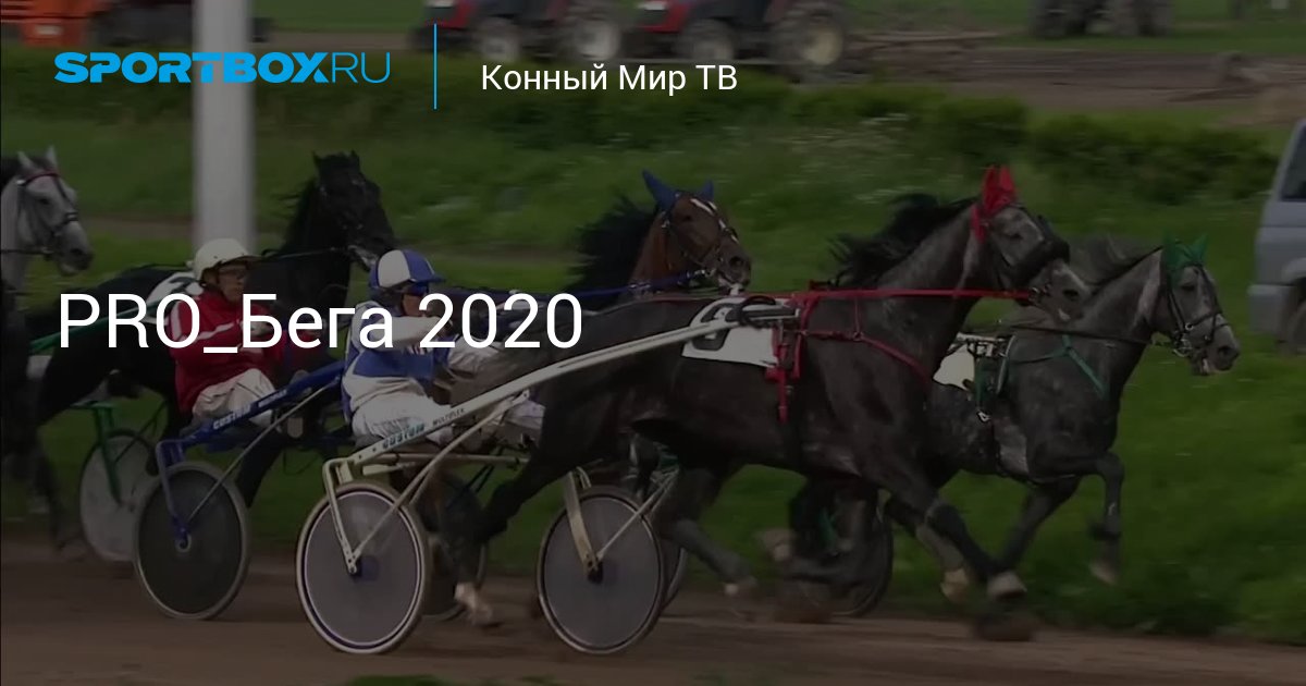 Бега 2020. Конный мир бега 2020. Бега Тамбовский ипподром 26.09.2020. Конный мир Pro лошадей 2020. Канал НТВ конный мир.