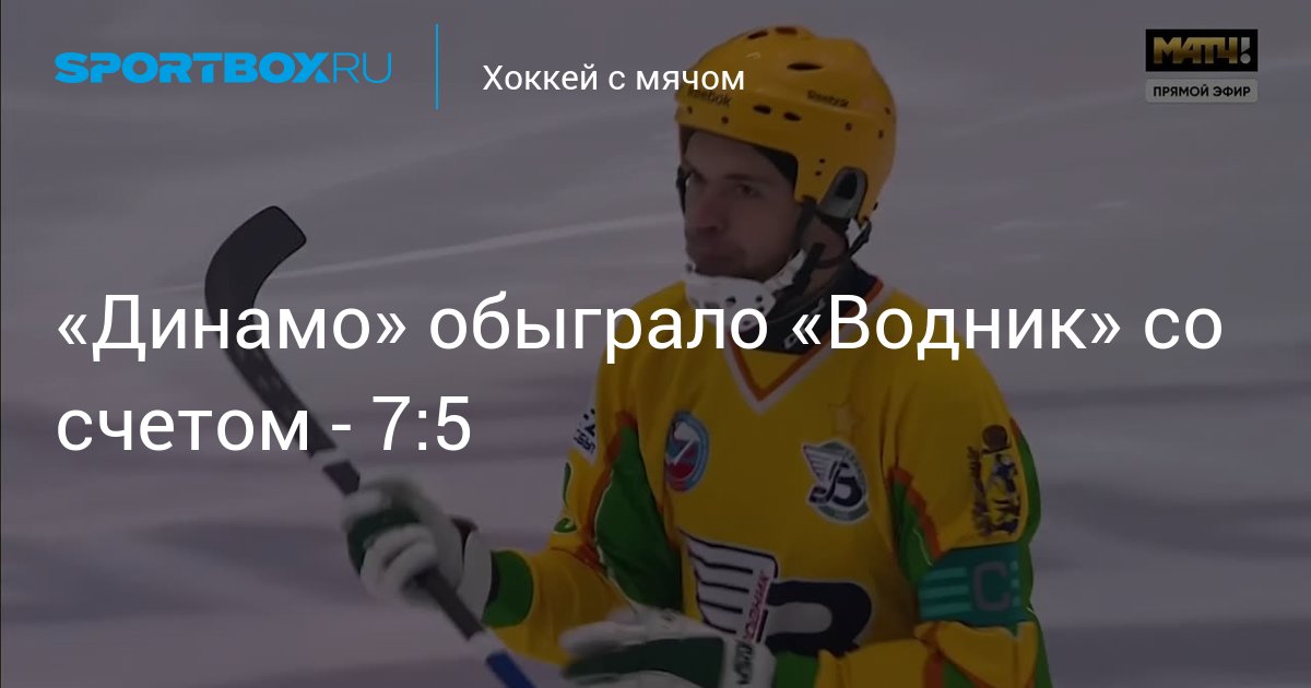 Водник динамо москва счет. Хоккей с мячом Хабаровск СКА-Нефтяник 2013.
