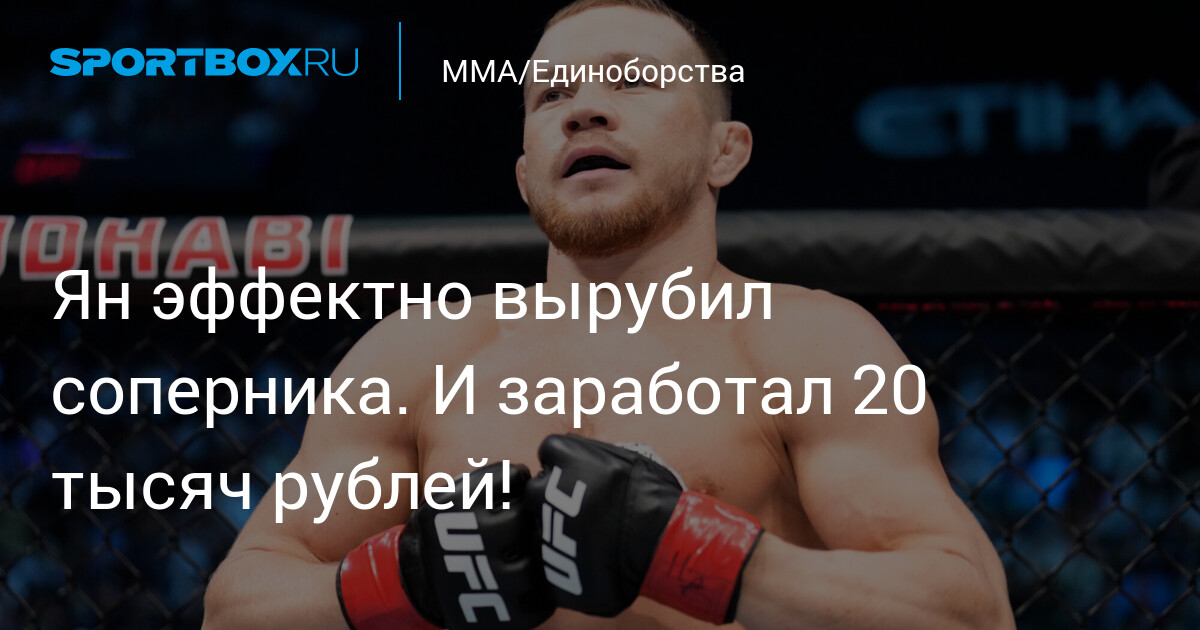 Усыпление собак на дому, сколько стоит усыпить собаку на дому недорого, цена в Москве