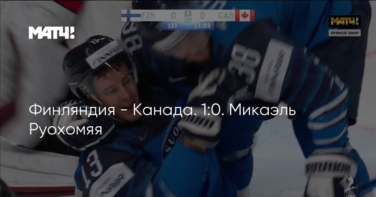 Финляндия - Канада. 1:0. Микаэль Руохомяя