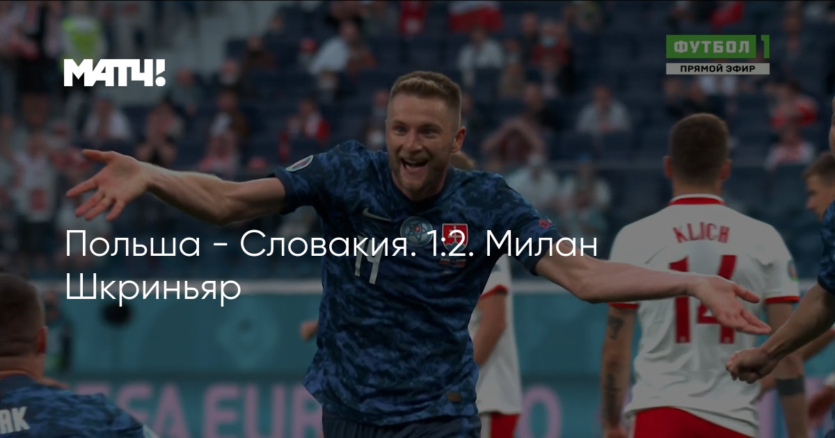 Польша - Словакия. 1:2. Милан Шкриньяр