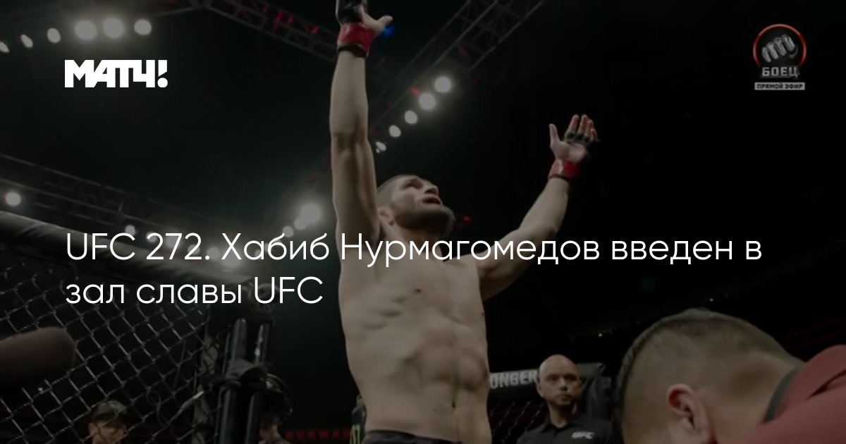 Ufc зал славы полный список бойцов с фото