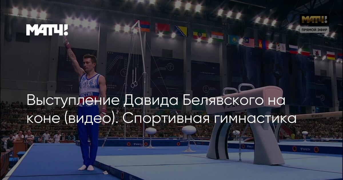 Спортивная гимнастика