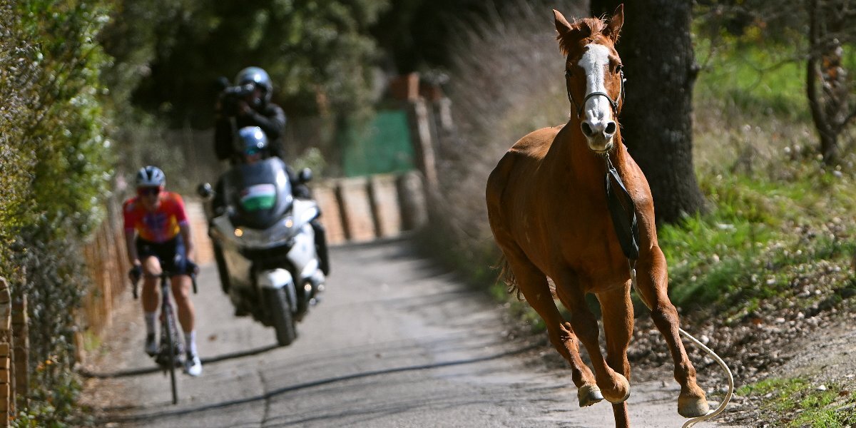 Лошадь выбежала на трассу во время женской велогонки «Страде Бьянке»