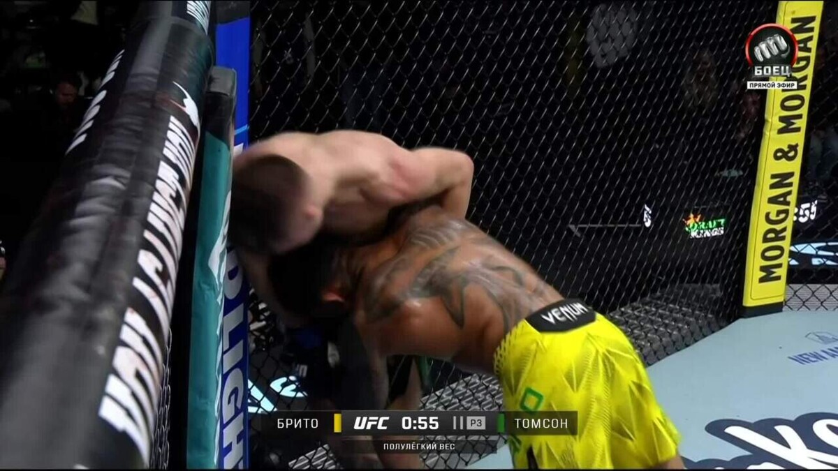 Изображение видео