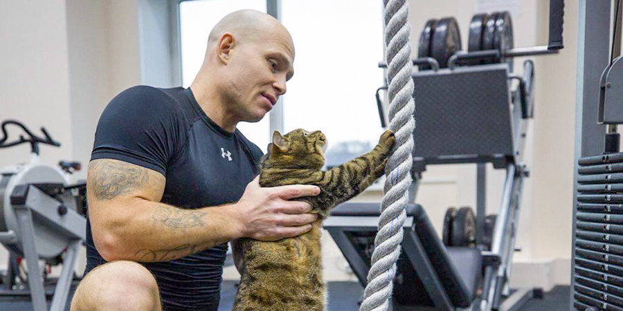 «Адмирал» провел тренировку с котом, которого не пустили в самолет из-за лишнего веса