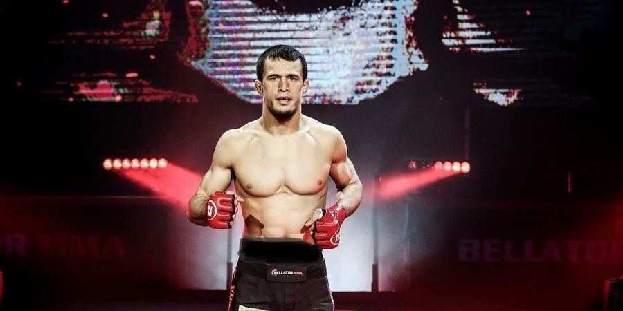Хабиб в клетке Bellator — теперь там побеждает троюродный брат Нурмагомедова. Расскажем, почему не в UFC