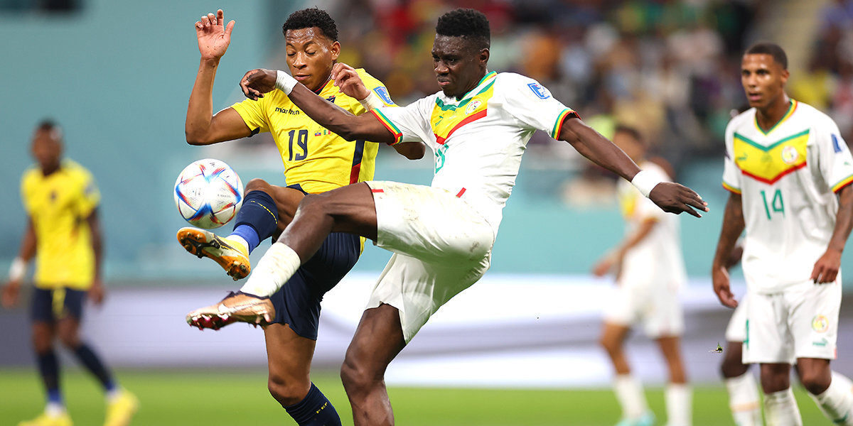 «Сенегал хотел выиграть, а Эквадору важно было сыграть вничью. Это две большие, разные задачи» — Ловчев