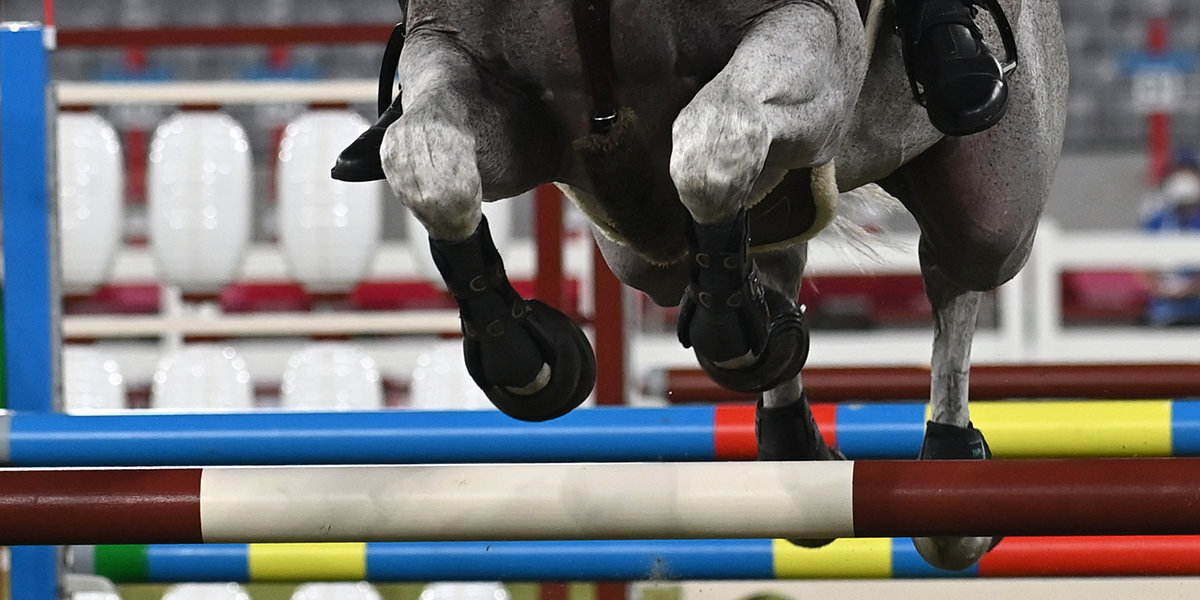 В Международной федерации конного спорта отклонили апелляцию России на запрет участвовать в соревнованиях