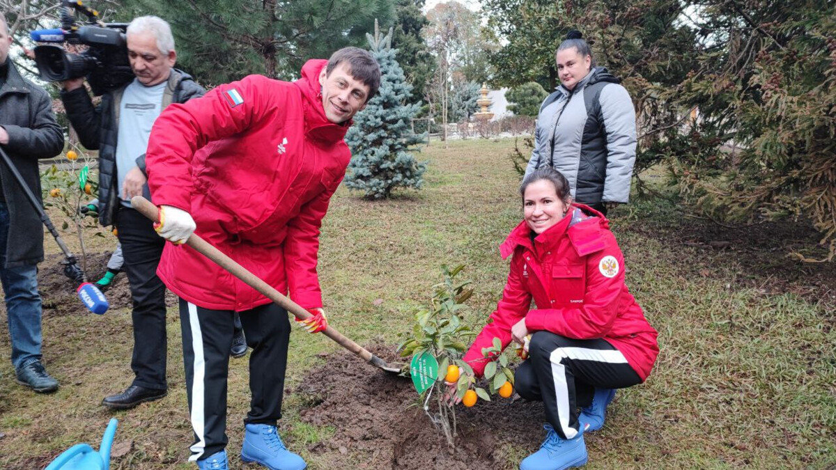 Чемпионы и призеры Олимпиады в Сочи высадили деревья в парке «Ривьера»