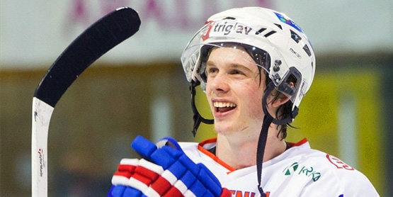 Хоккеист сборной Словении попался на допинге и обязан покинуть Пхенчхан в течение 24 часов