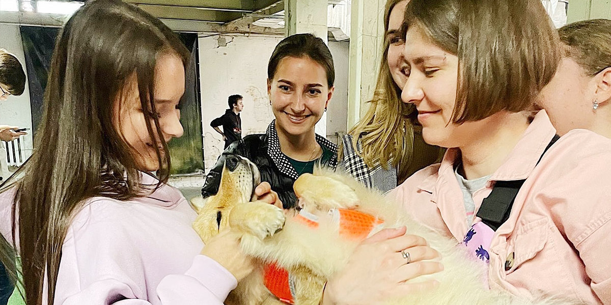 Щербакова забрала собаку с благотворительной выставки