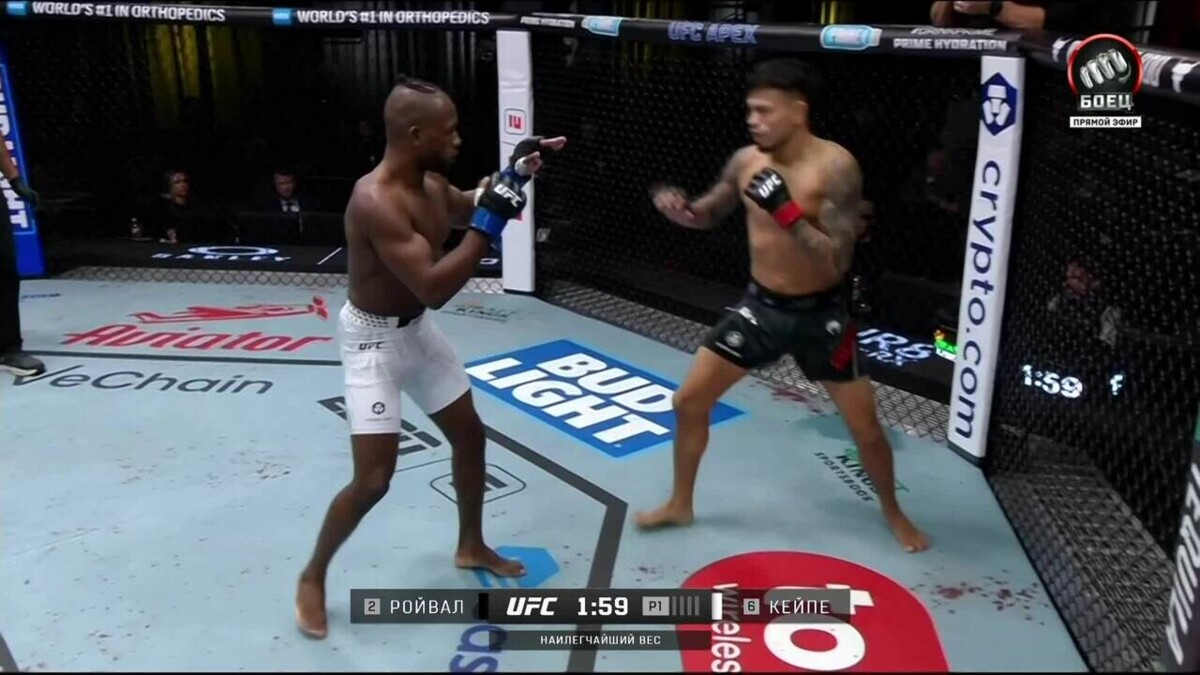 Изображение видео