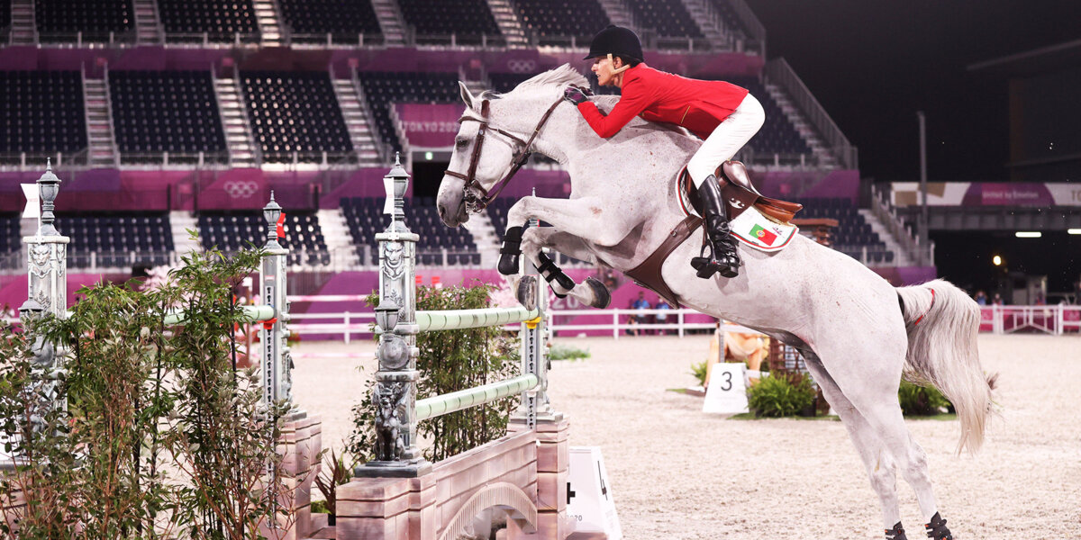 Борцы за права животных призывают МОК исключить конный спорт из программы Олимпийских игр
