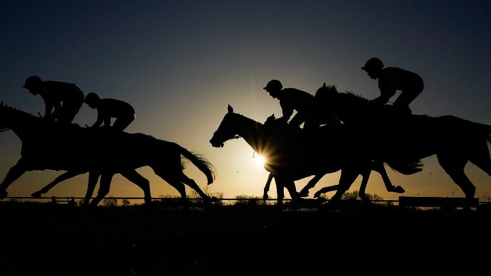 Более 100 человек задержаны на скачках в Англии, три лошади умерли  СМИ