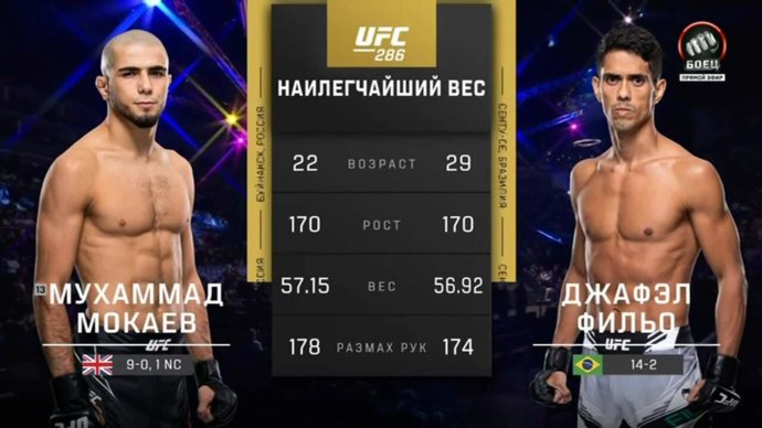 Мухаммад Мокаев против Джафэла Фильо. Лучшие моменты боя (видео). UFC 286 (видео)