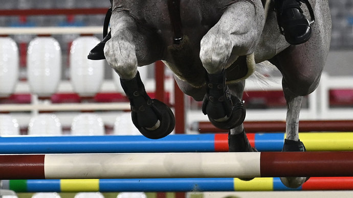 Ветеринар получил 11 лет тюрьмы и крупный штраф по делу о допинге для скаковых лошадей