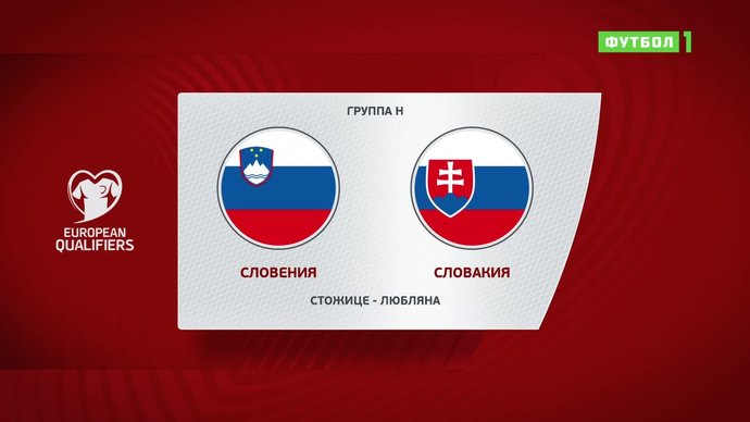 Словения - Словакия - 1:1. Голы (видео)