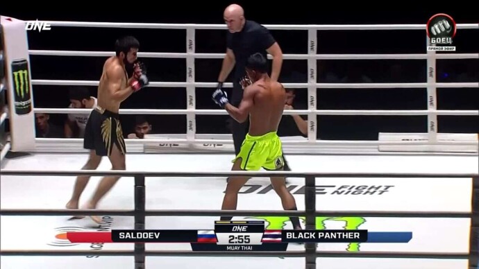 Черная Пантера нокаутировал Али Салдоева (видео). One FC (видео)