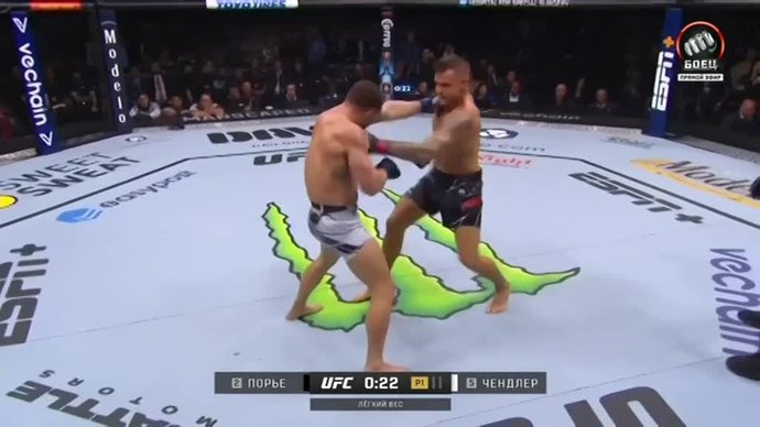 Самые яркие удары UFC 281 (видео) (видео)