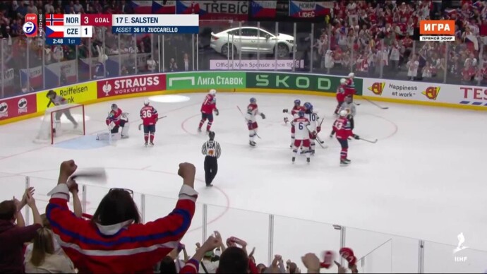 Норвегия - Чехия. 3:2. Гол Романа Червенки (видео). Чемпионат мира. Хоккей (видео)