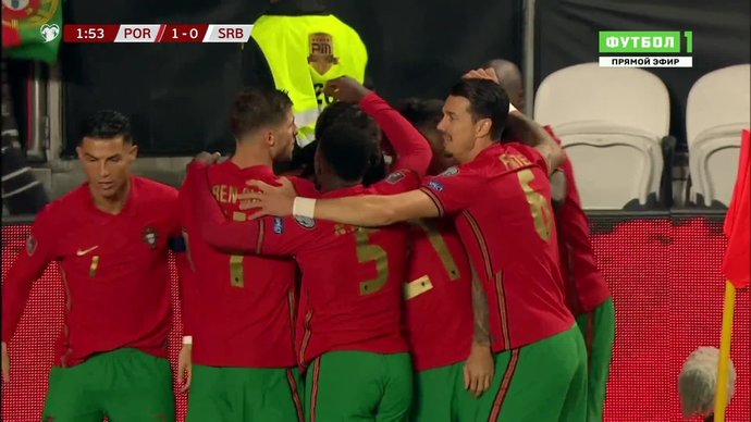 Португалия - Сербия. 1:0. Ренату Саншеш (видео)