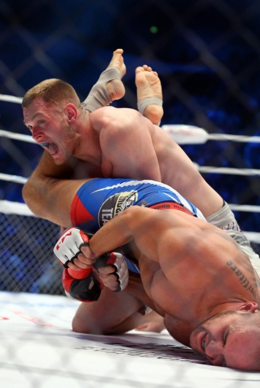 Сколько зарабатывает ufc