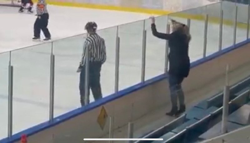 Мать хоккеиста залезла на борт и надавала судье по голове. Правильно сделала?