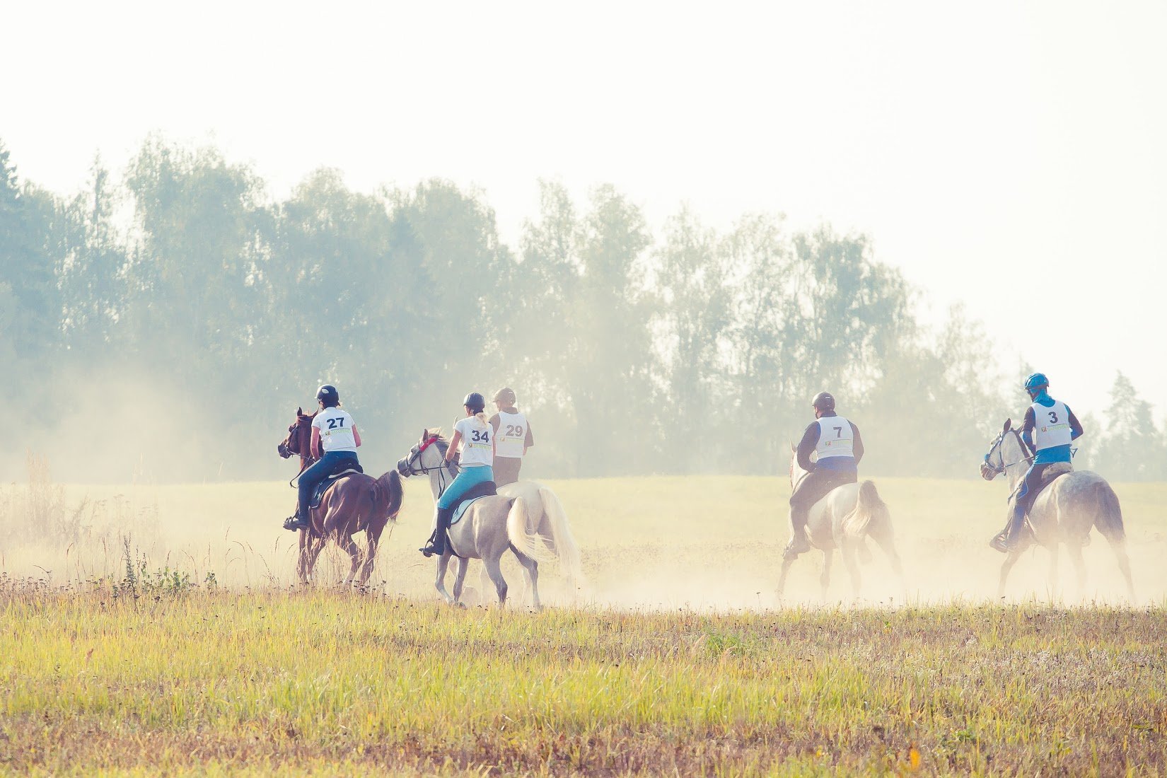 Конные пробеги. Бородино пробег конный 2005. Пробеги на лошадях. Дистанционные конные пробеги. Пробеги конный спорт.