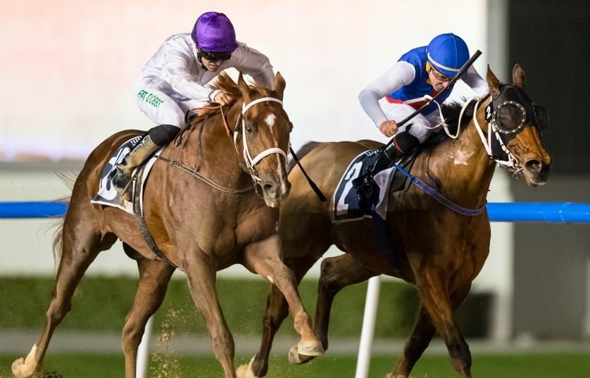 Дубайские скачки. Скачки Дубай 2022. Скачки в Дубае. В скачках участвовали красавцы кони.