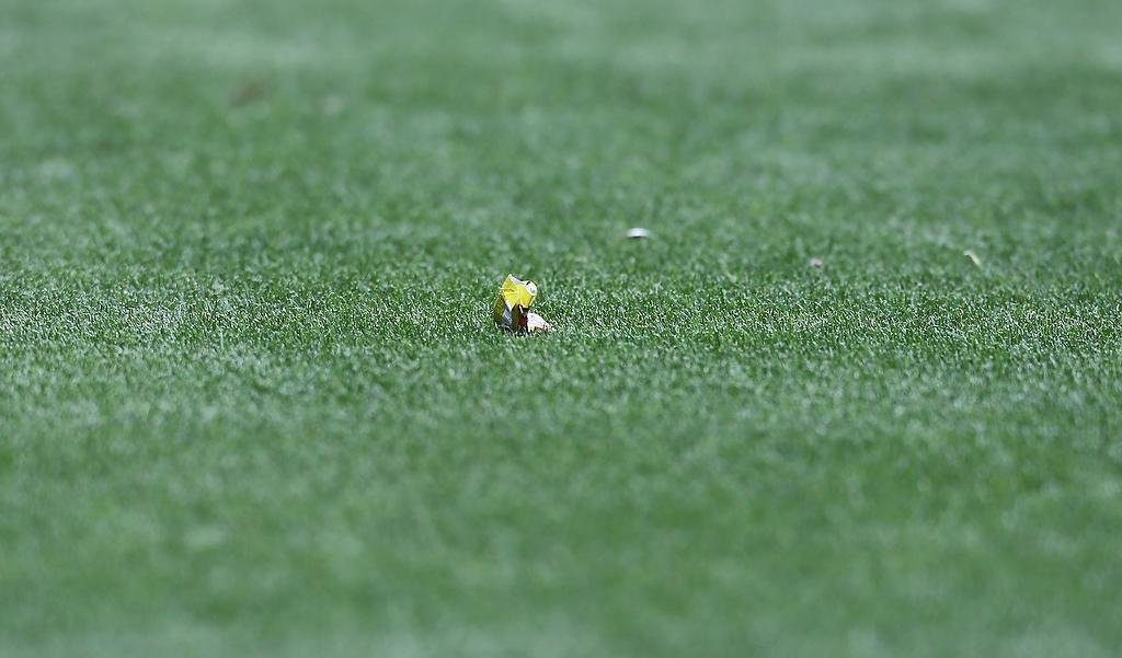 Более 40 миллионов рублей выделено на реконструкцию поля стадиона «Балтика»