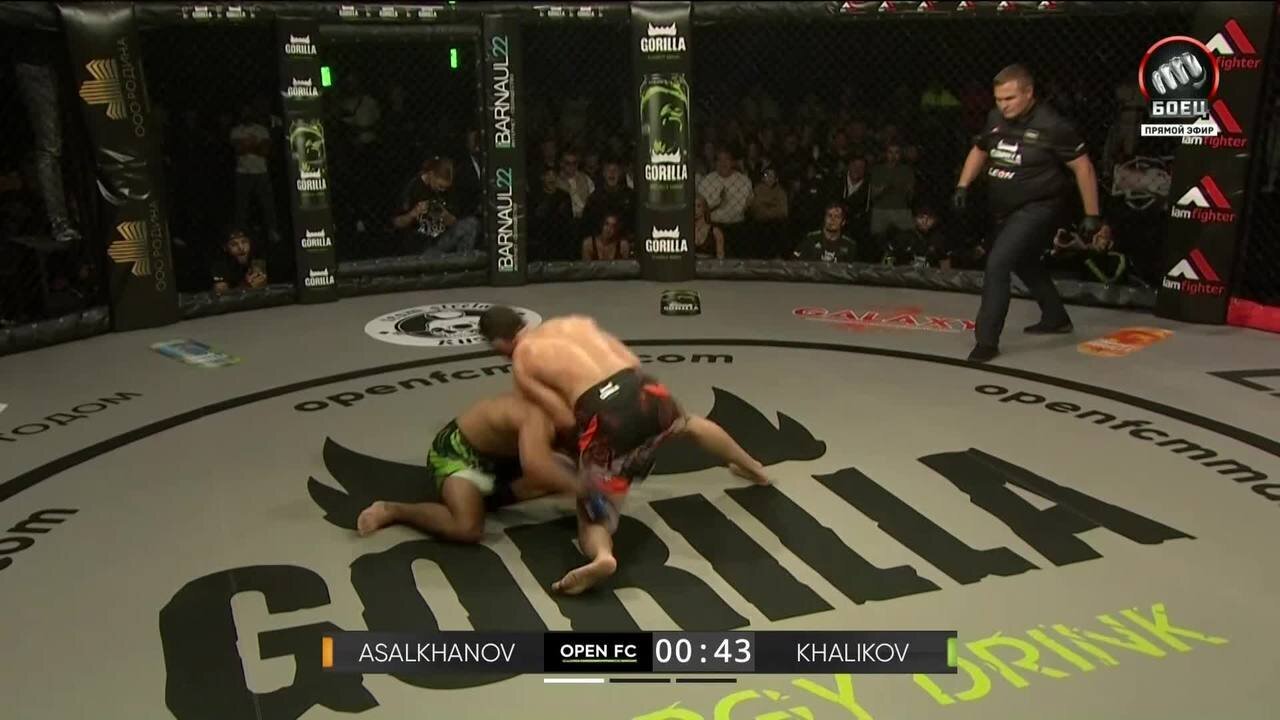 Халиков досрочно победил Асалханова (видео). OPEN FC 34. MMA/Единоборства