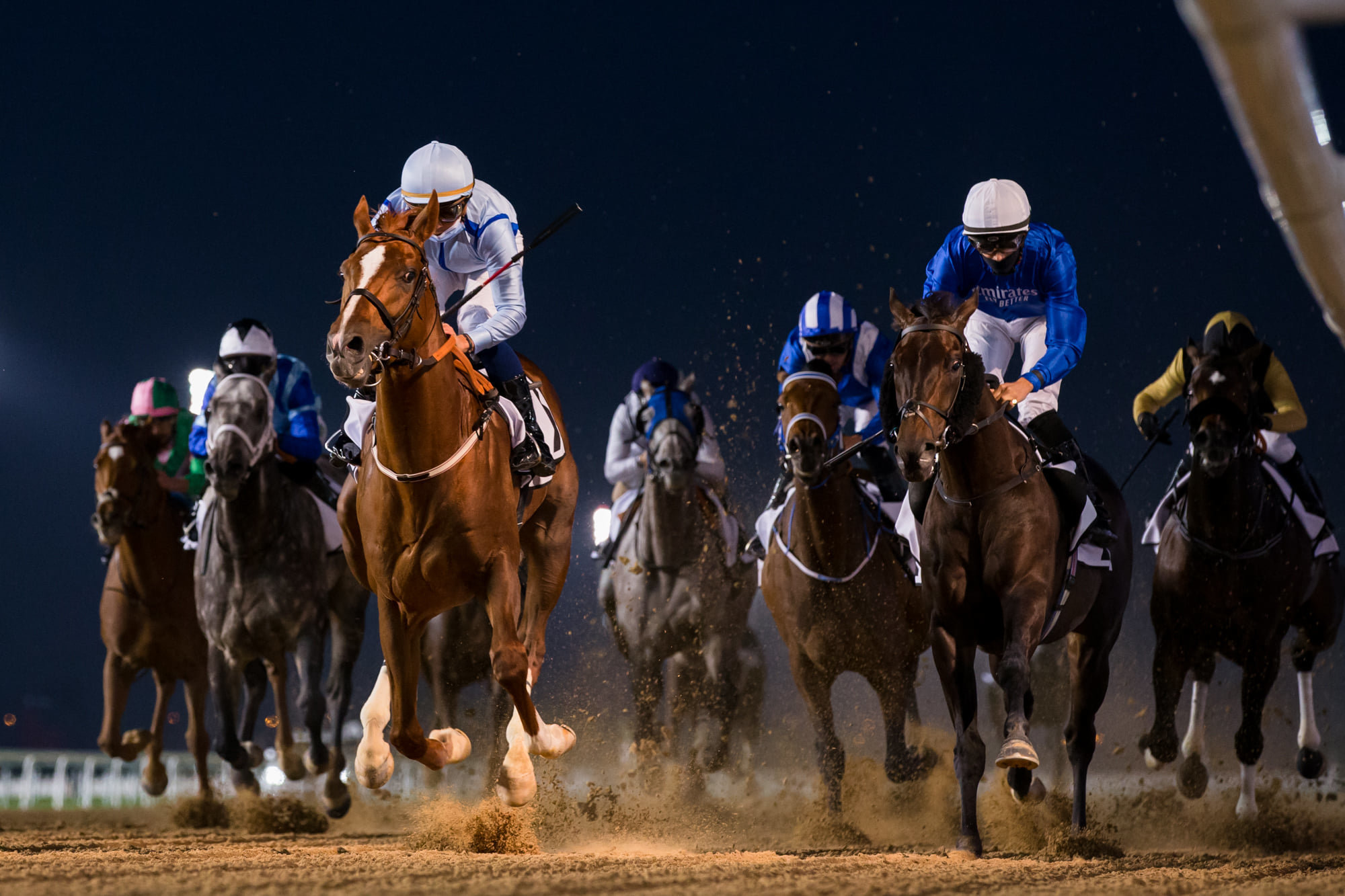 Дубайские скачки. Скачки Dubai World Cup Carnival 2022. Скачки на лошадях. Фаворит на скачках.
