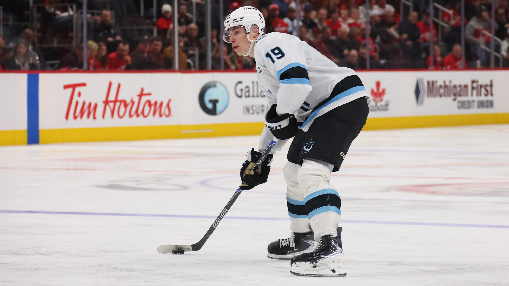 Изображение новости