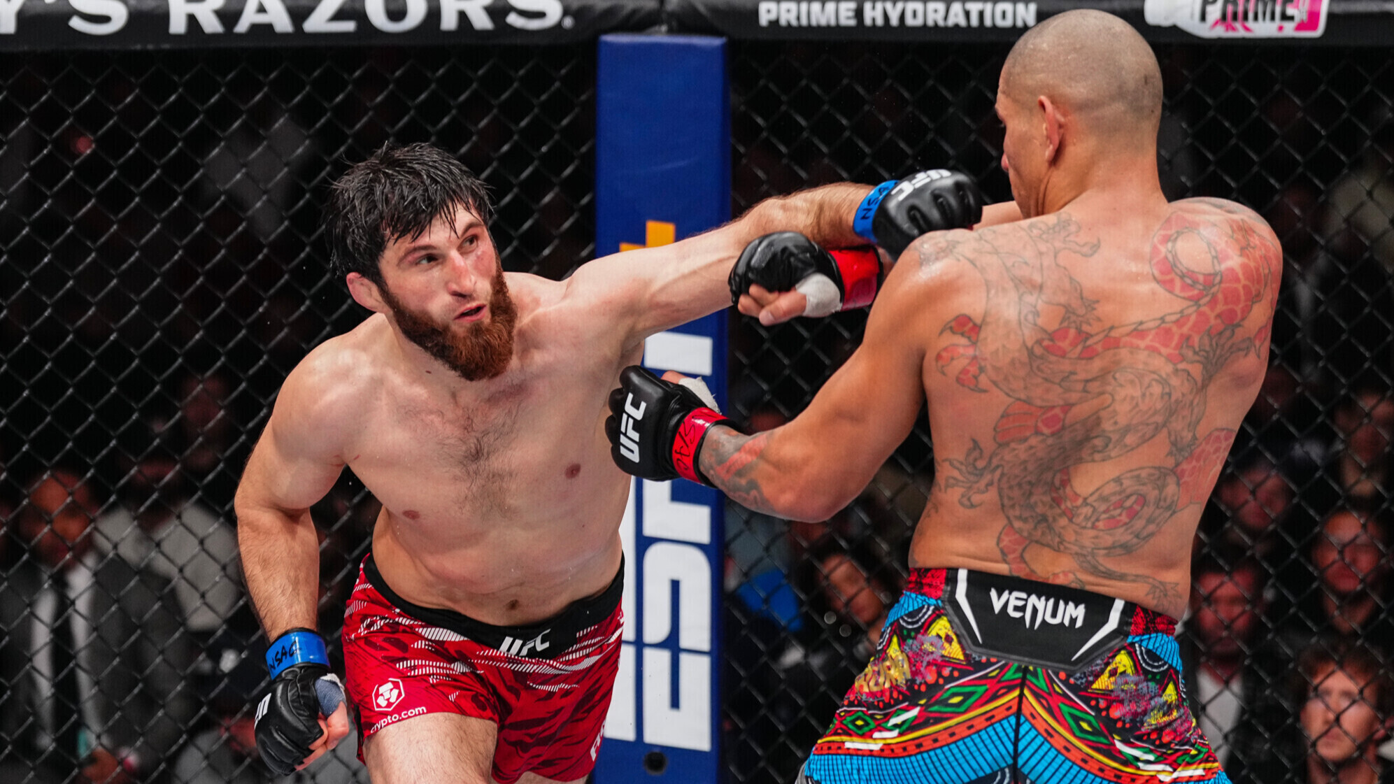 «Быстрого реванша у Анкалаева с Перейрой не будет» — Гуськов