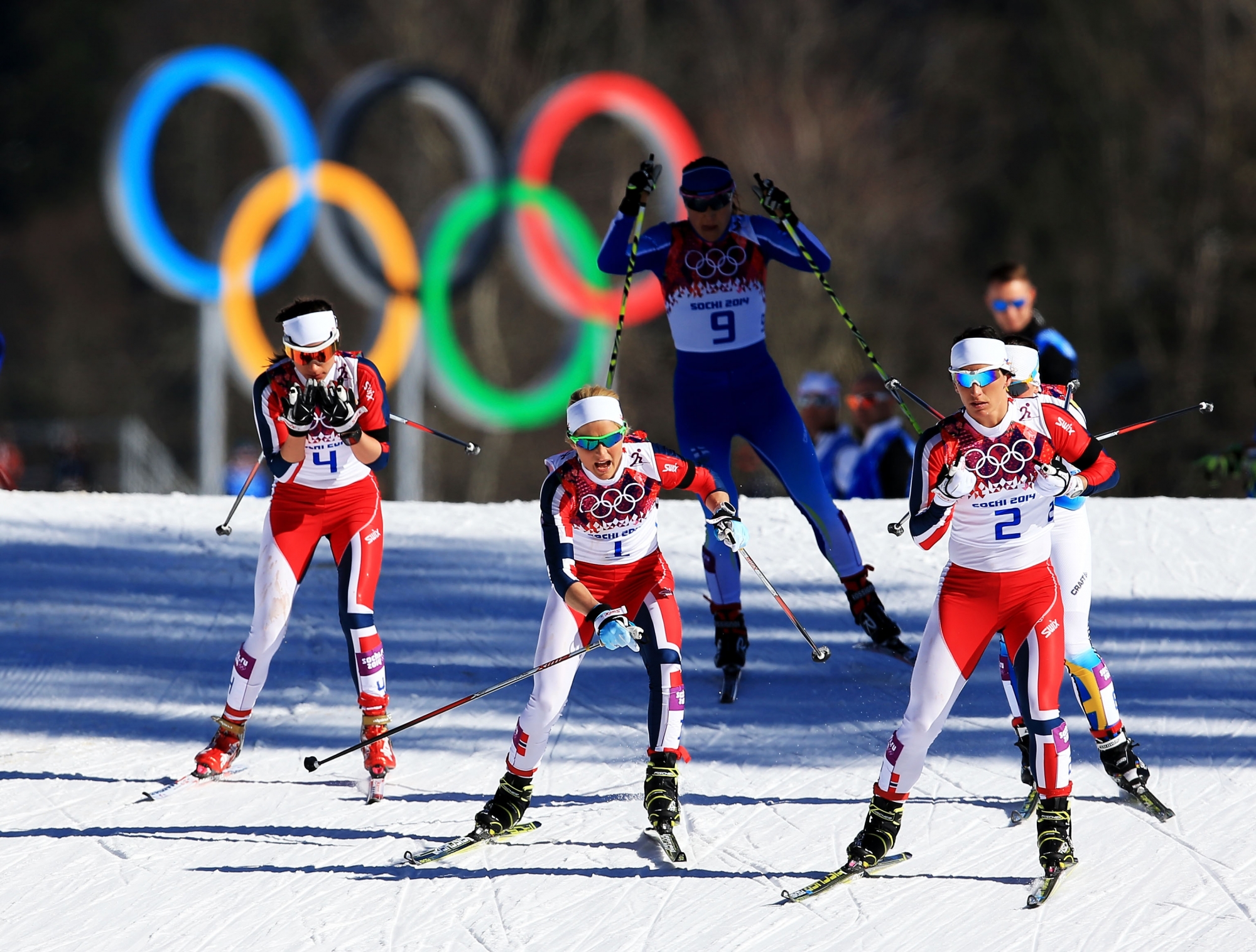 Зимние олимпийские игры это спортивные соревнования впр. Зимние виды спорта. Лыжные гонки Олимпийские игры. Лыжные гонки вид спорта.