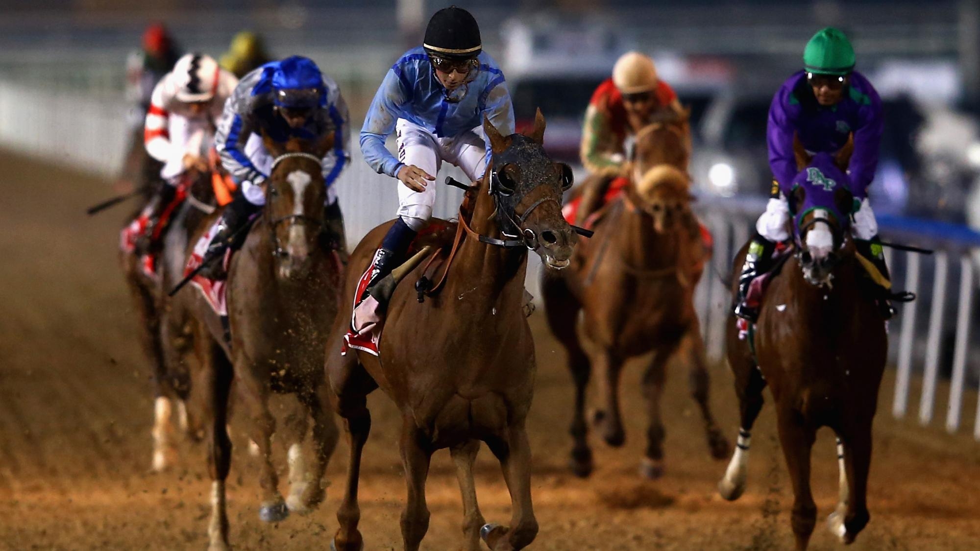 Верховая земля. Конный спорт в Дубае. Скачки Dubai World Cup. Стипль-ЧЕЗ конный спорт. Конные скачки в Дубае.