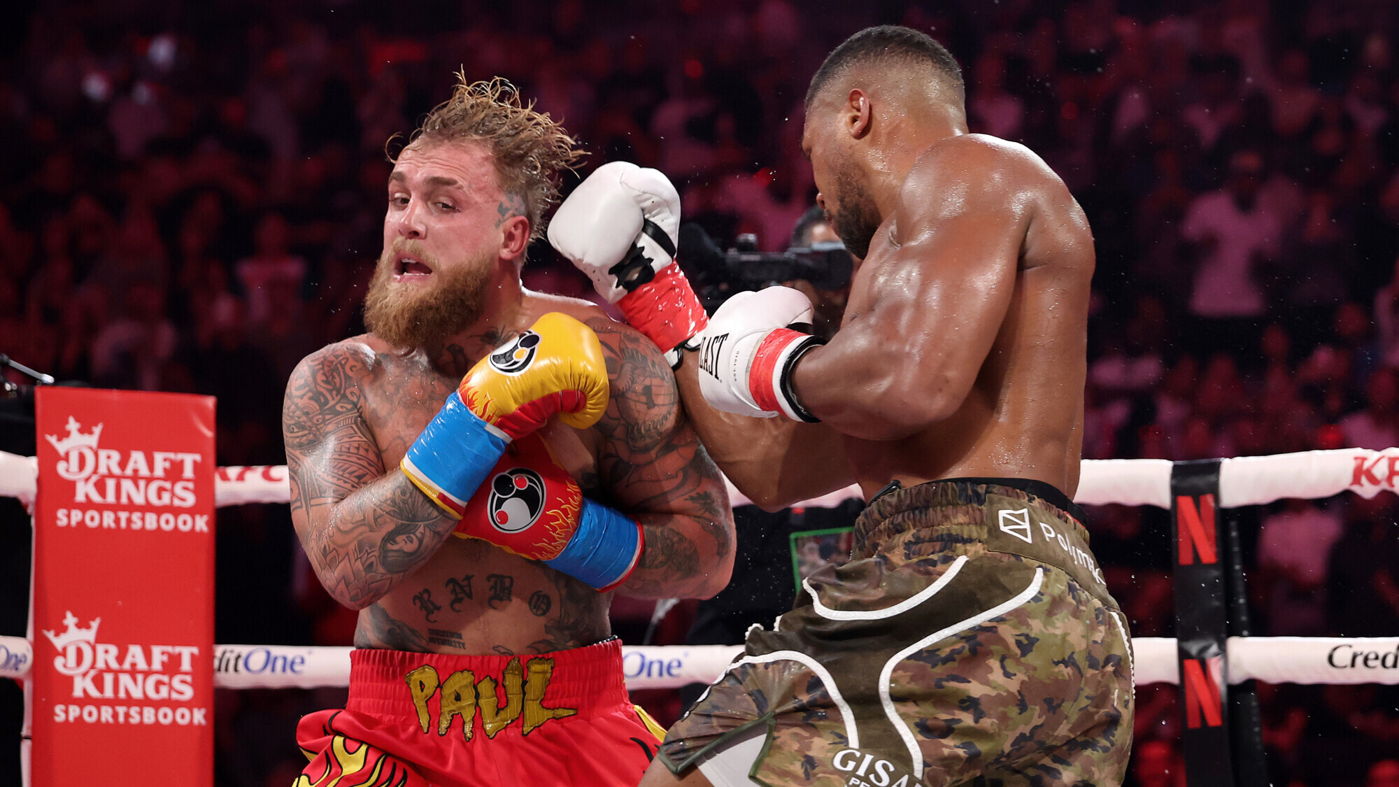 Изображение новости