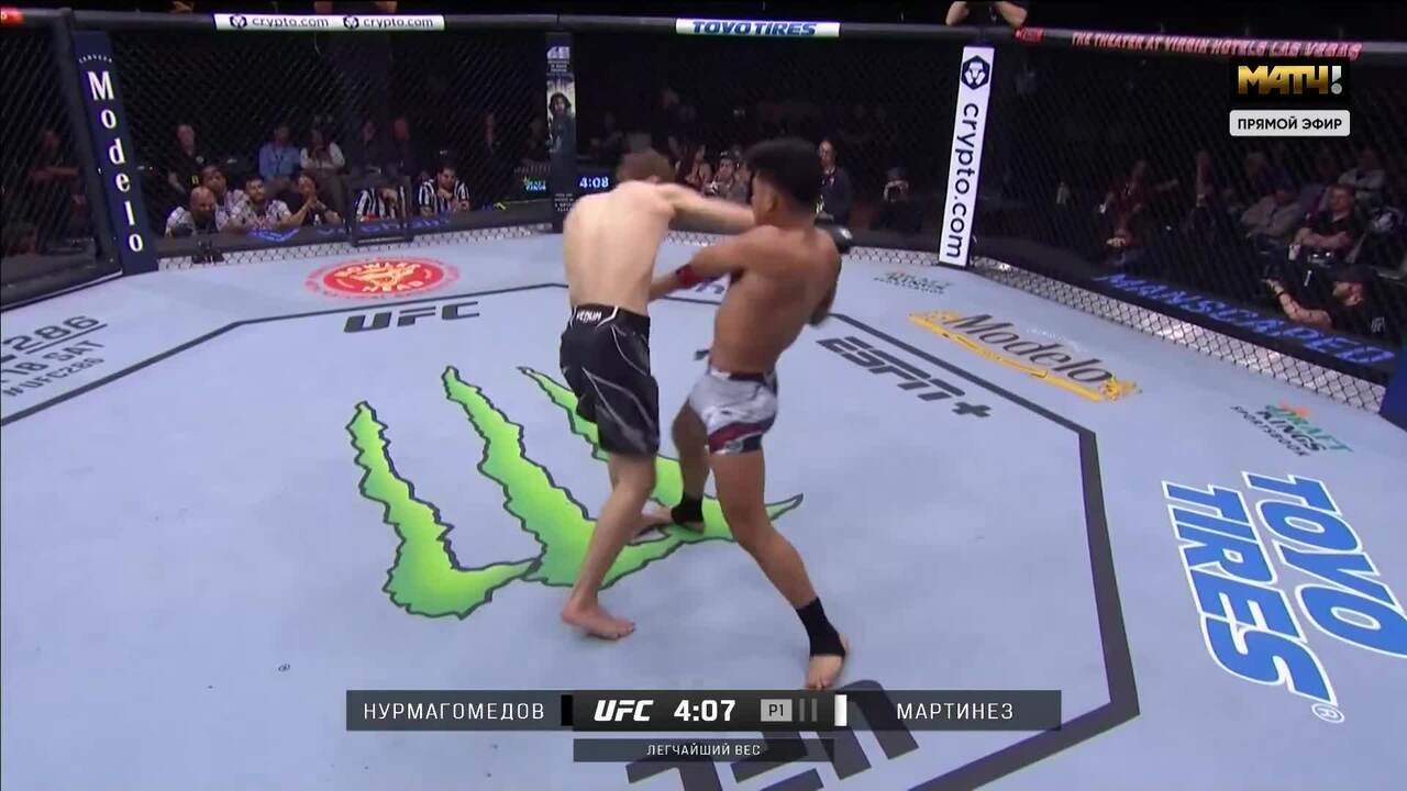 Самые яркие удары UFC Fight Night (видео)