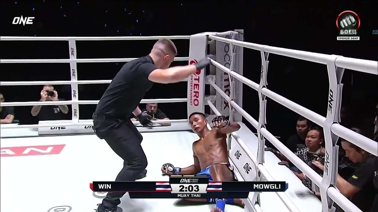 Вин отправил в нокаут Маугли (видео). One FC. MMA/Единоборства