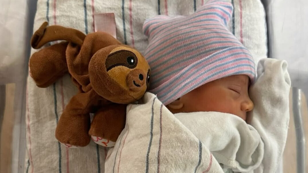 Изображение новости