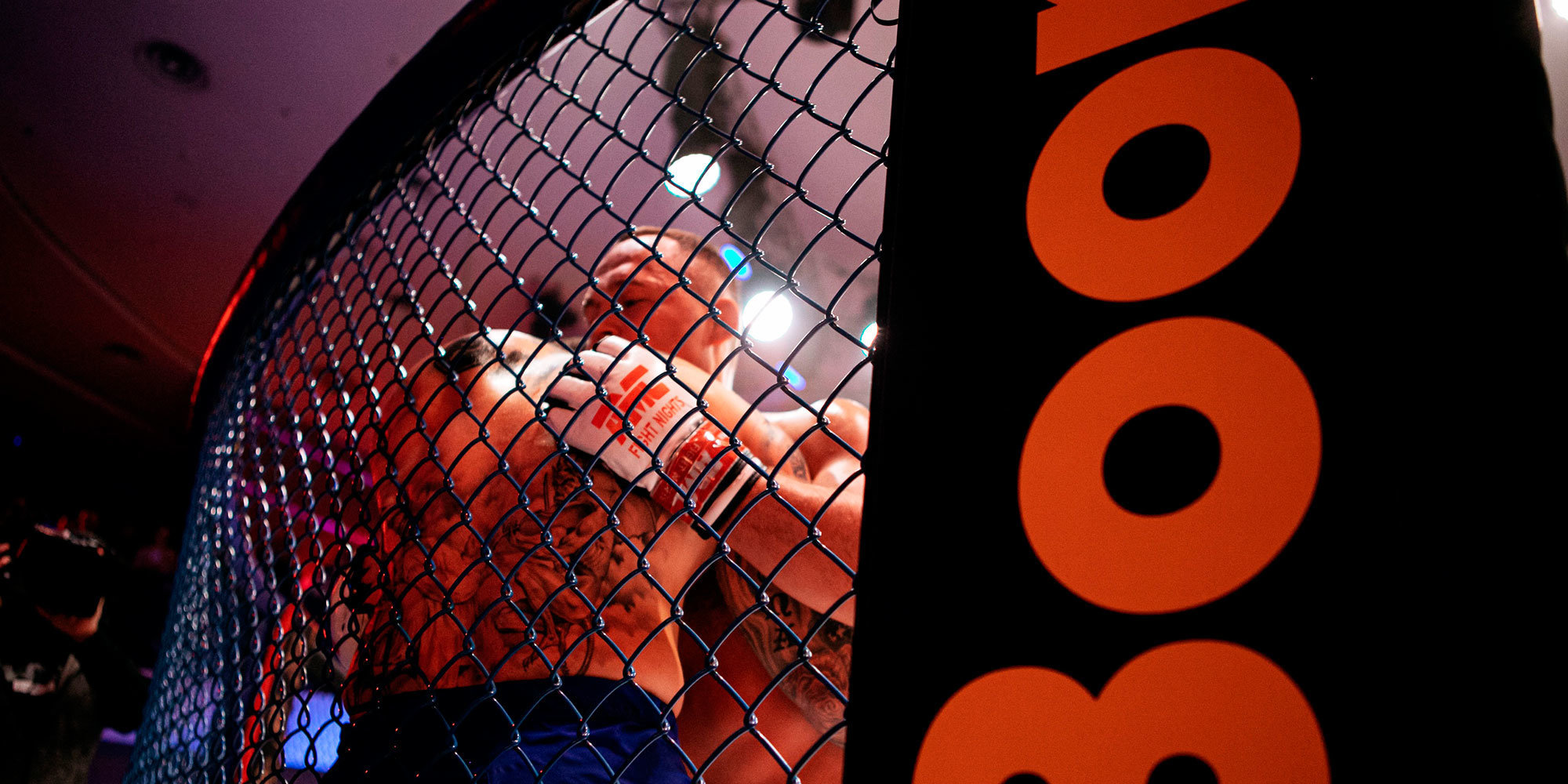 UFC Fight Night: Херманссон — Пайфер: когда начало, где смотреть онлайн турнира 11 февраля