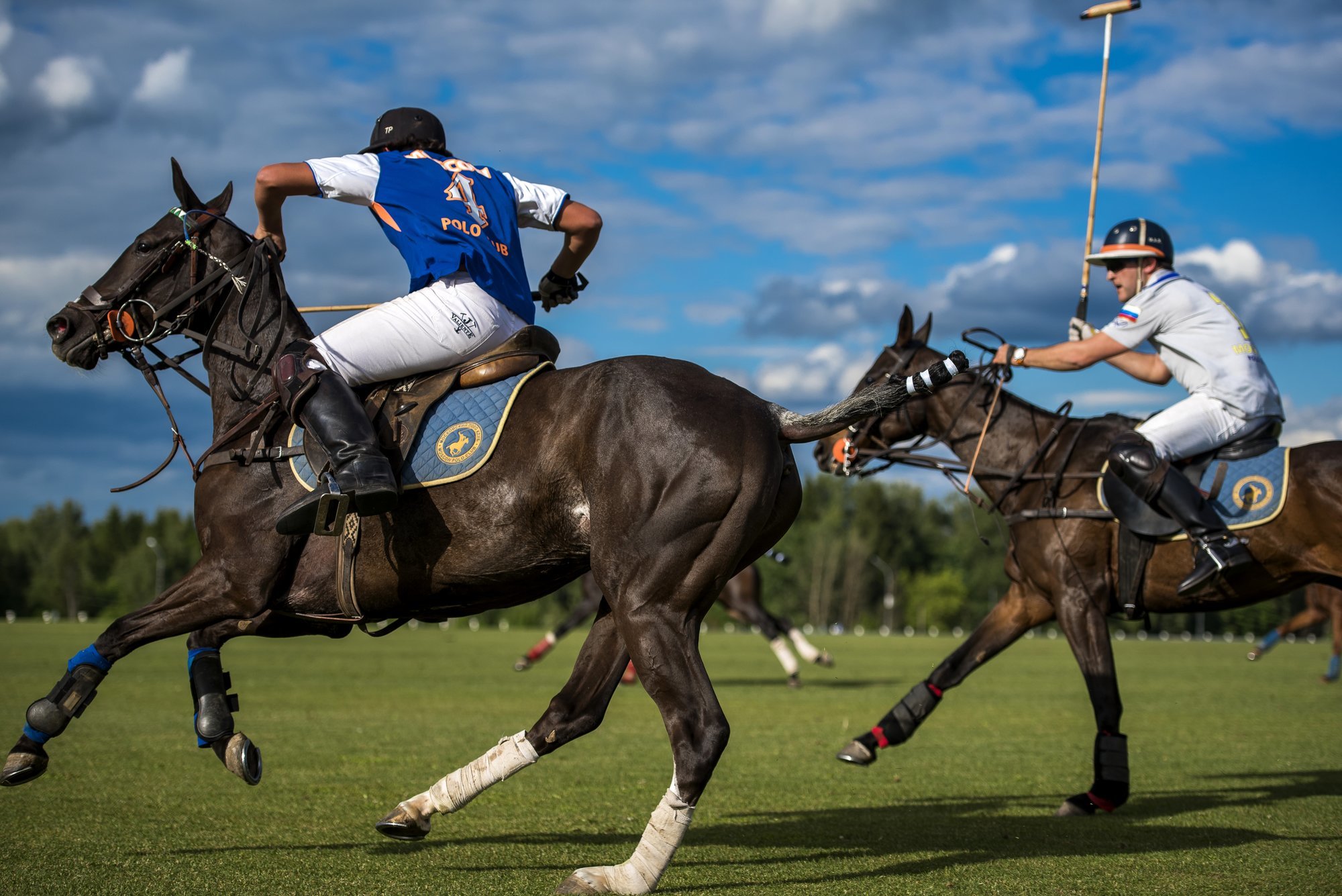 Поло спорт. Конное поло Англия 1890. Поло Polo Sport. 