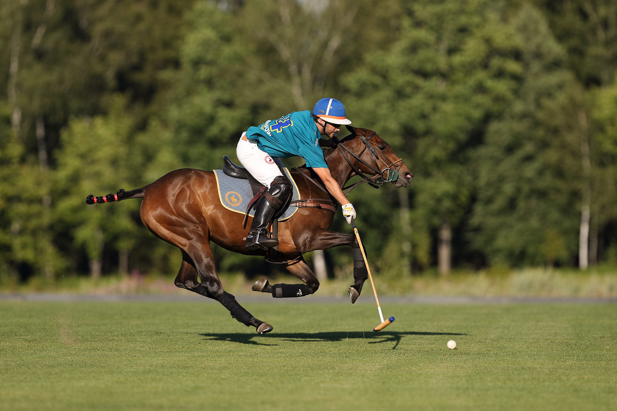 Лошадиных гольф. Конное поло. Polo Sport. Поло для конного спорта. Конное поло в Англии.