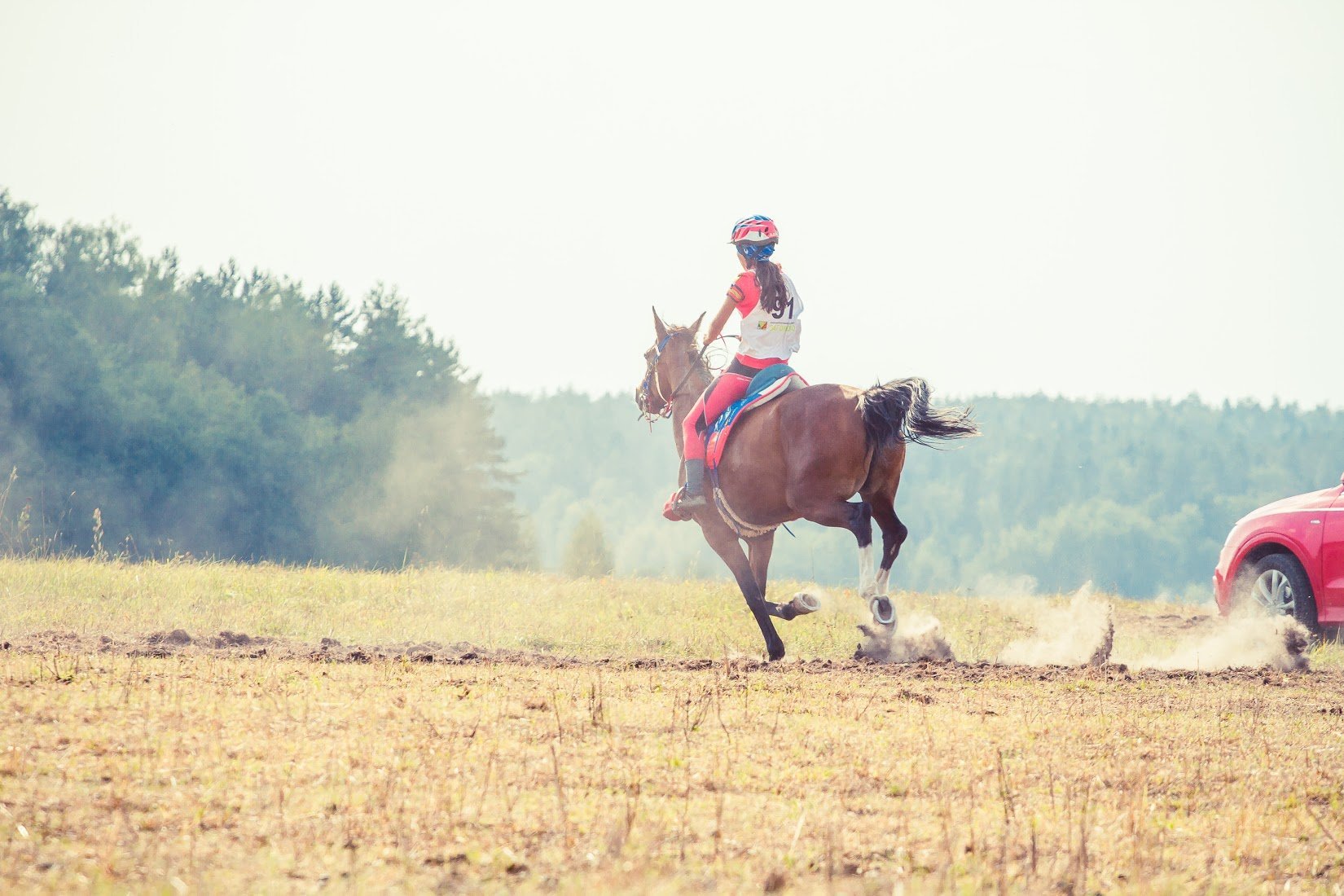 Конные пробеги. Дистанционные конные пробеги лето 2023. Пробеги на лошадях. Трасса для конных пробегов.