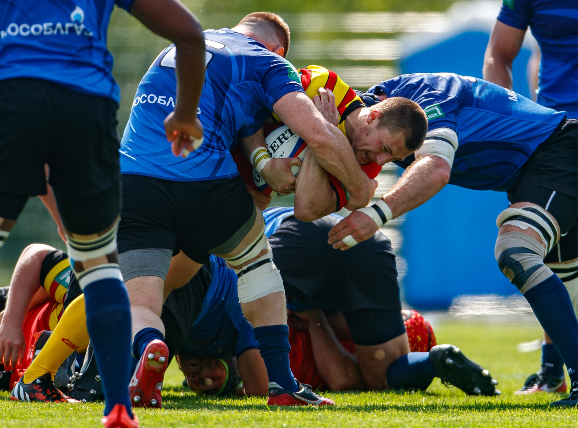 Rugby head injuries vs football betting Rugby head injuries vs football betting forex traders forum ukulele