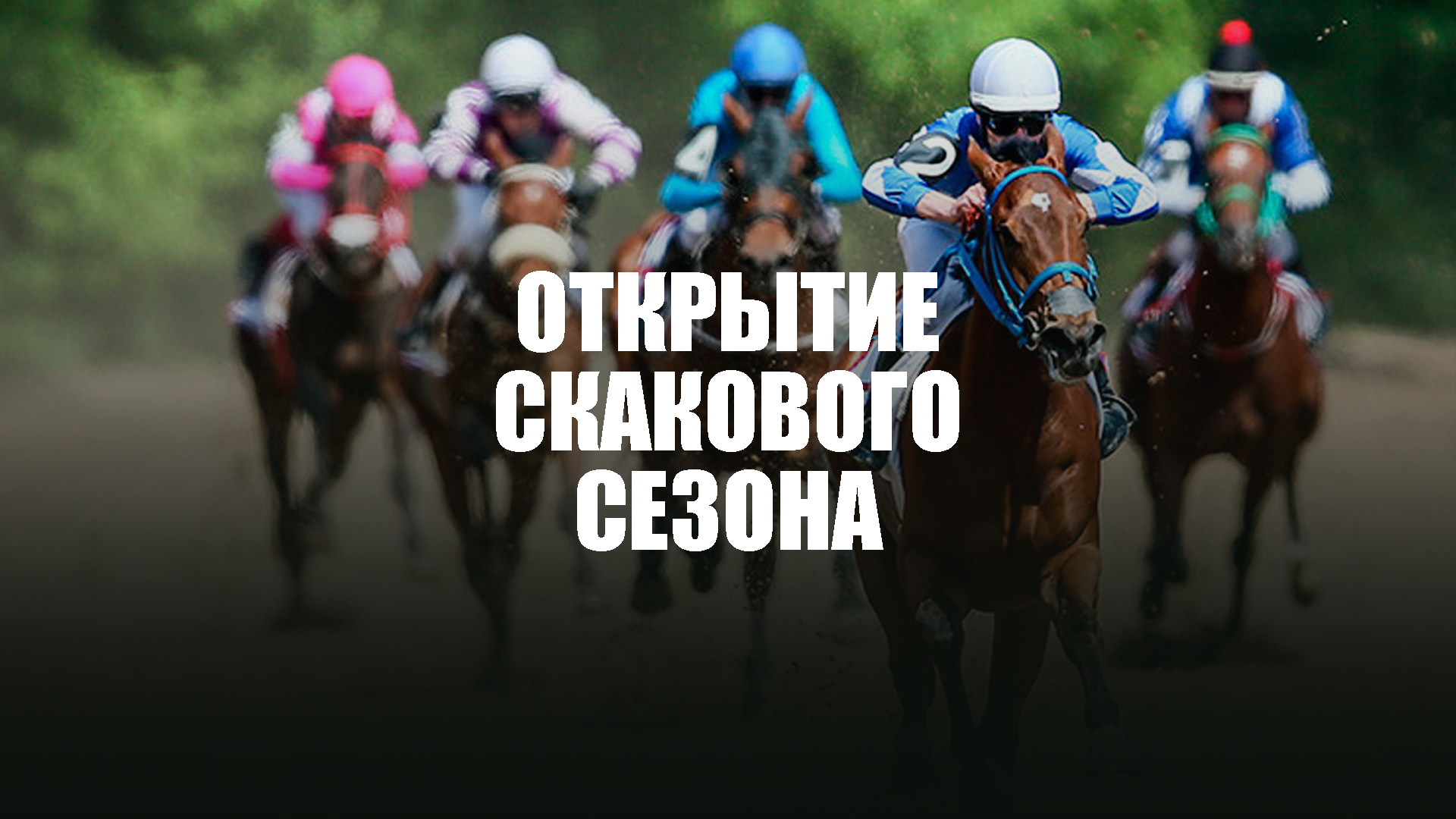 Обложка видео